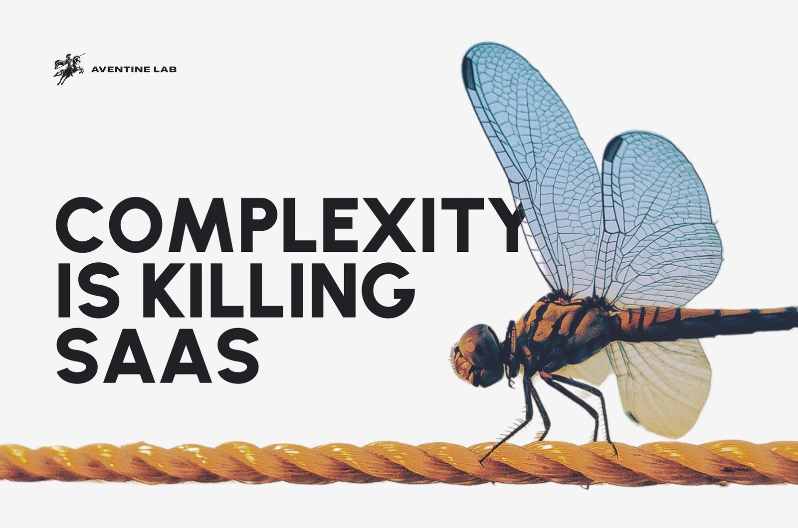 Complexity_Is_Killing SaaS